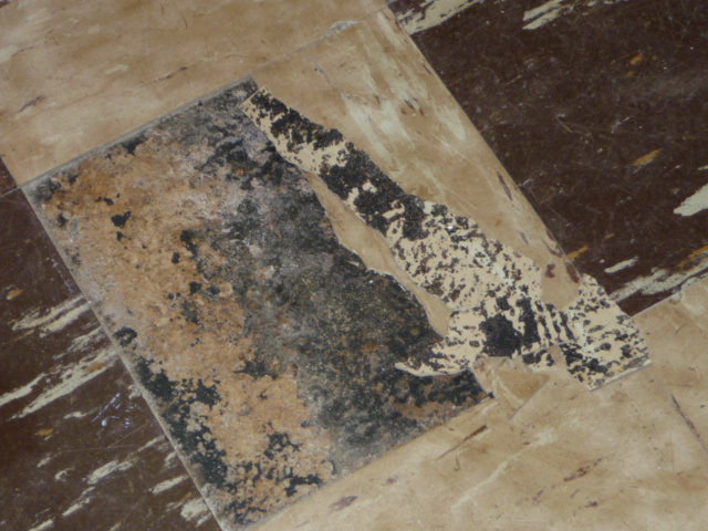 basement repair nj
