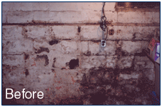 Mold